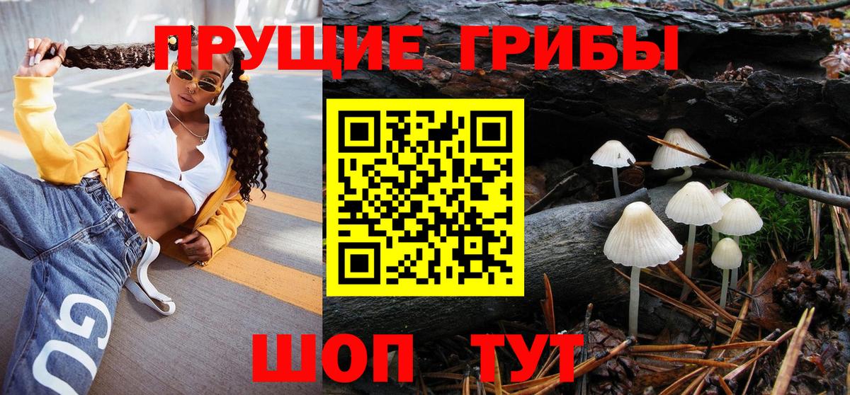 где купить наркоту  Галлюциногенные грибы Cubensis  Вход с VPN  Россия 