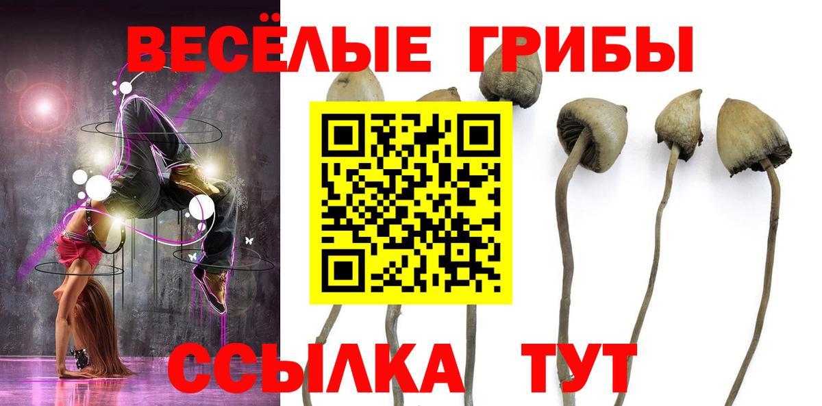 Псилоцибиновые грибы мицелий Россия